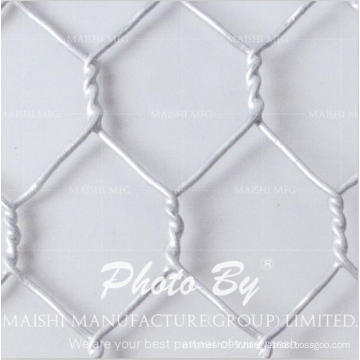 Chicken Wire Netting/Bird Poultry Net